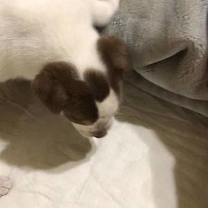 Meet your Posher, Ivette